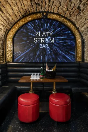 005 vip box za dj pultem