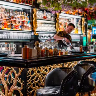 27-the-roots-the-main-bar