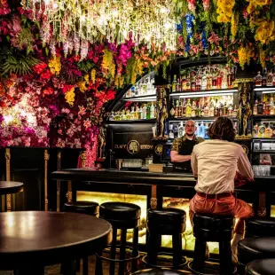 002-guest-in-the-nest-lounge-bar